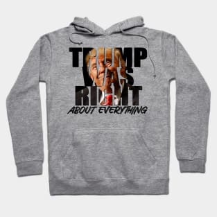 Trump Was Right About Everything Hoodie